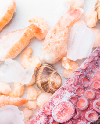 Vietnam Frozen Octopus Guide