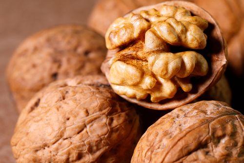 Chilean Walnut Guide