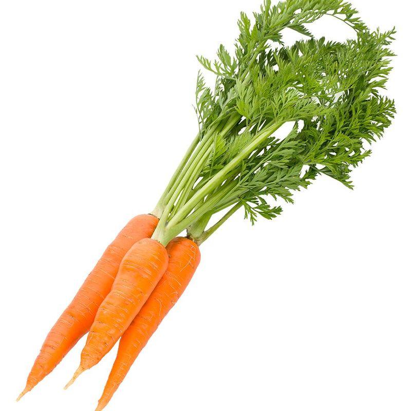 Carrot Guide