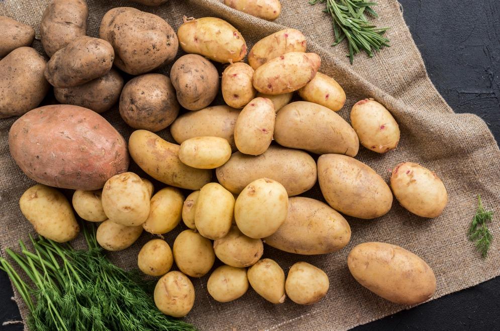 European Potato Market in 2024: High Prices and Varied Yields Set the Tone