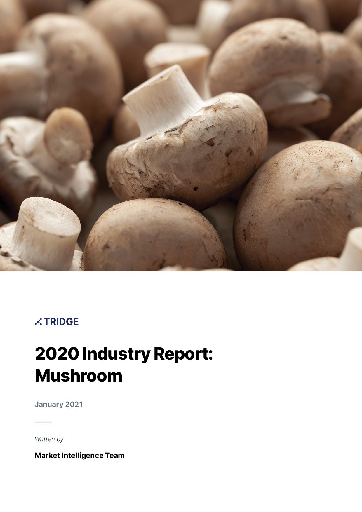 Mushroom Market Report