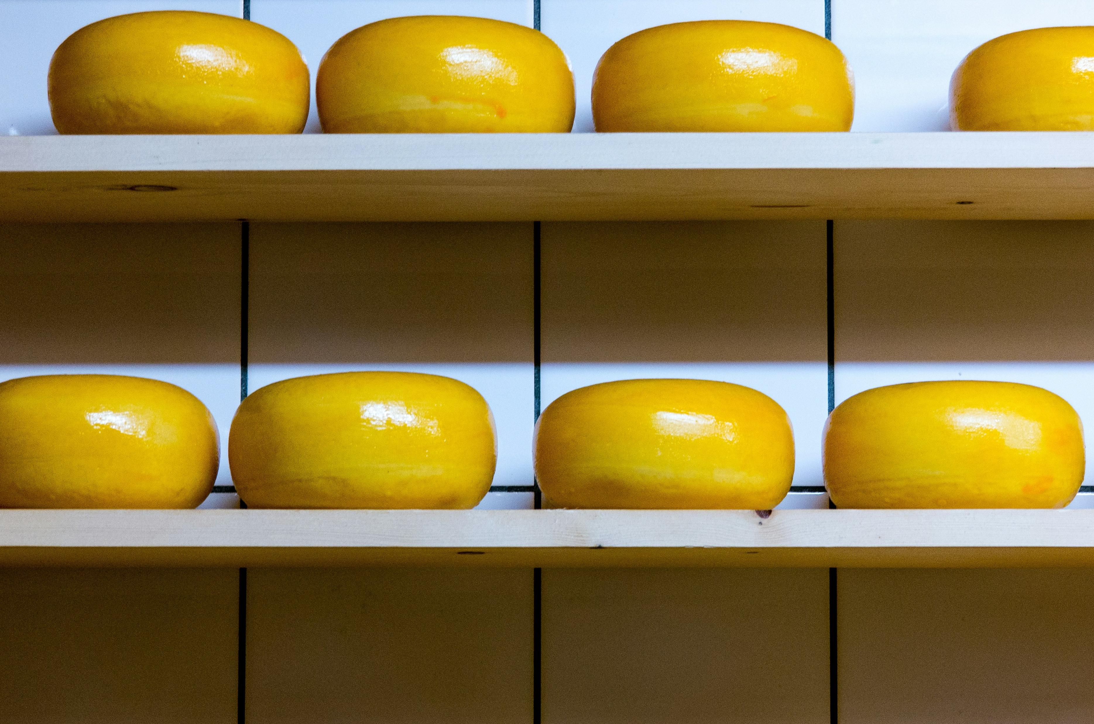 US Cheese Market Outlook is Optimistic in 2024 Due to Growing Demand