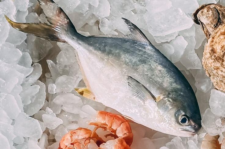 Implications of Russia's Ban on Japanese Seafood Imports