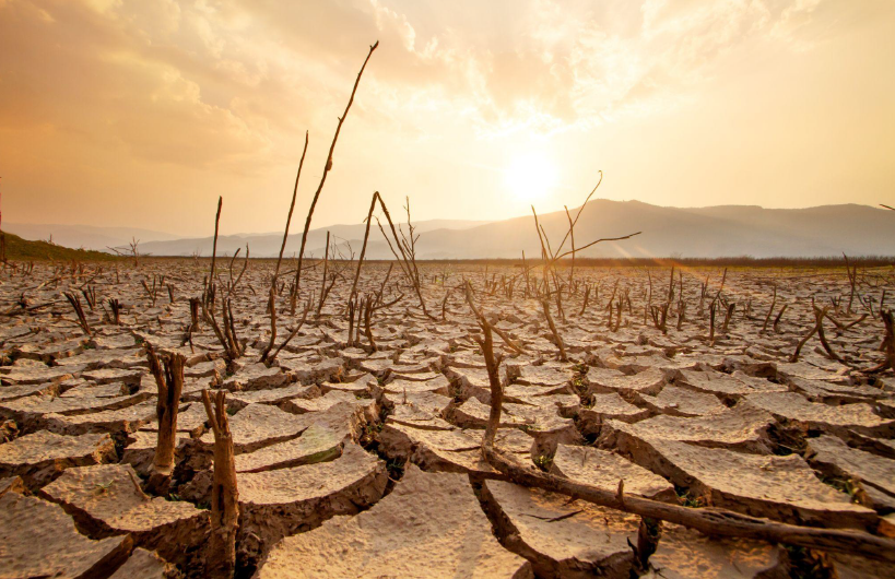 Climate Change Mitigation Strategies in Agriculture