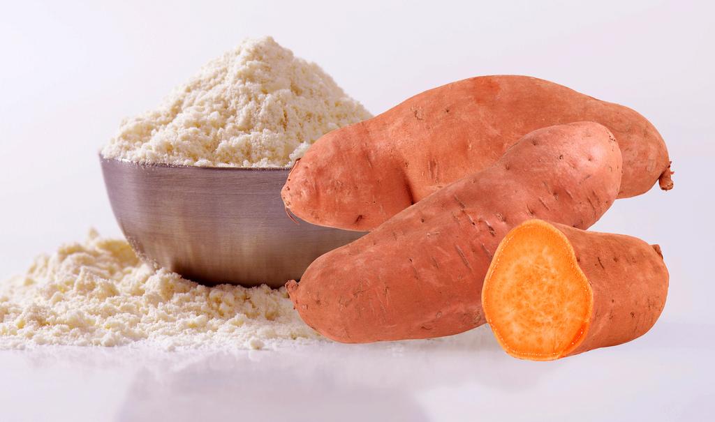 Sweet potato flour Ref-3245