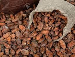 Cocoa Beans