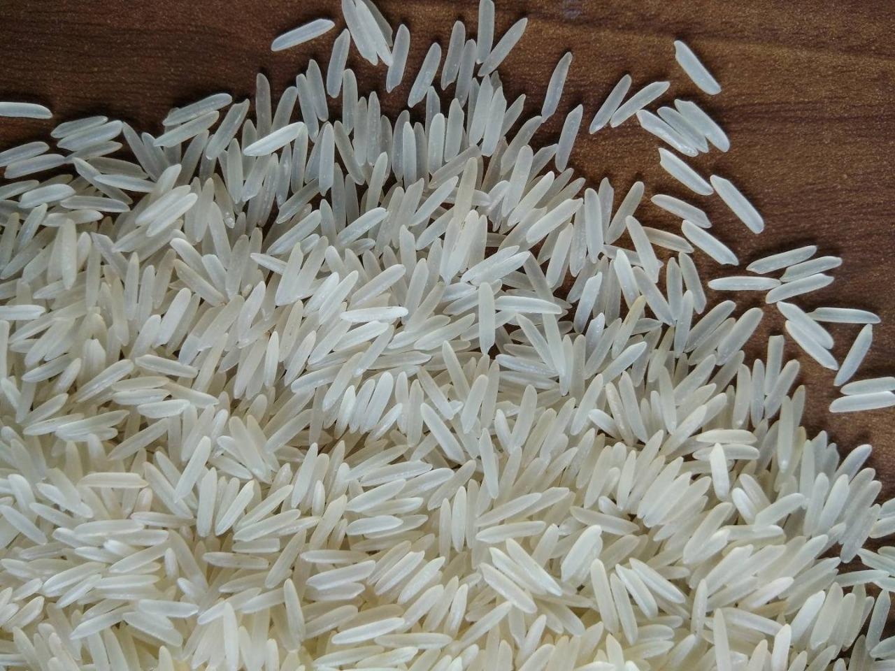 Rice