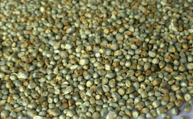 Wheat flour