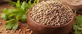 Coriander Seeds