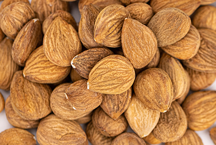 Apricot Kernels