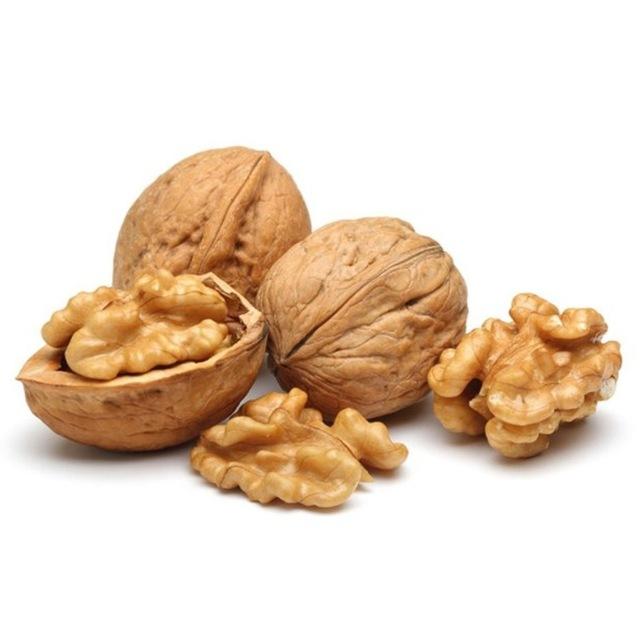 HAZELNUT IN SHELL
