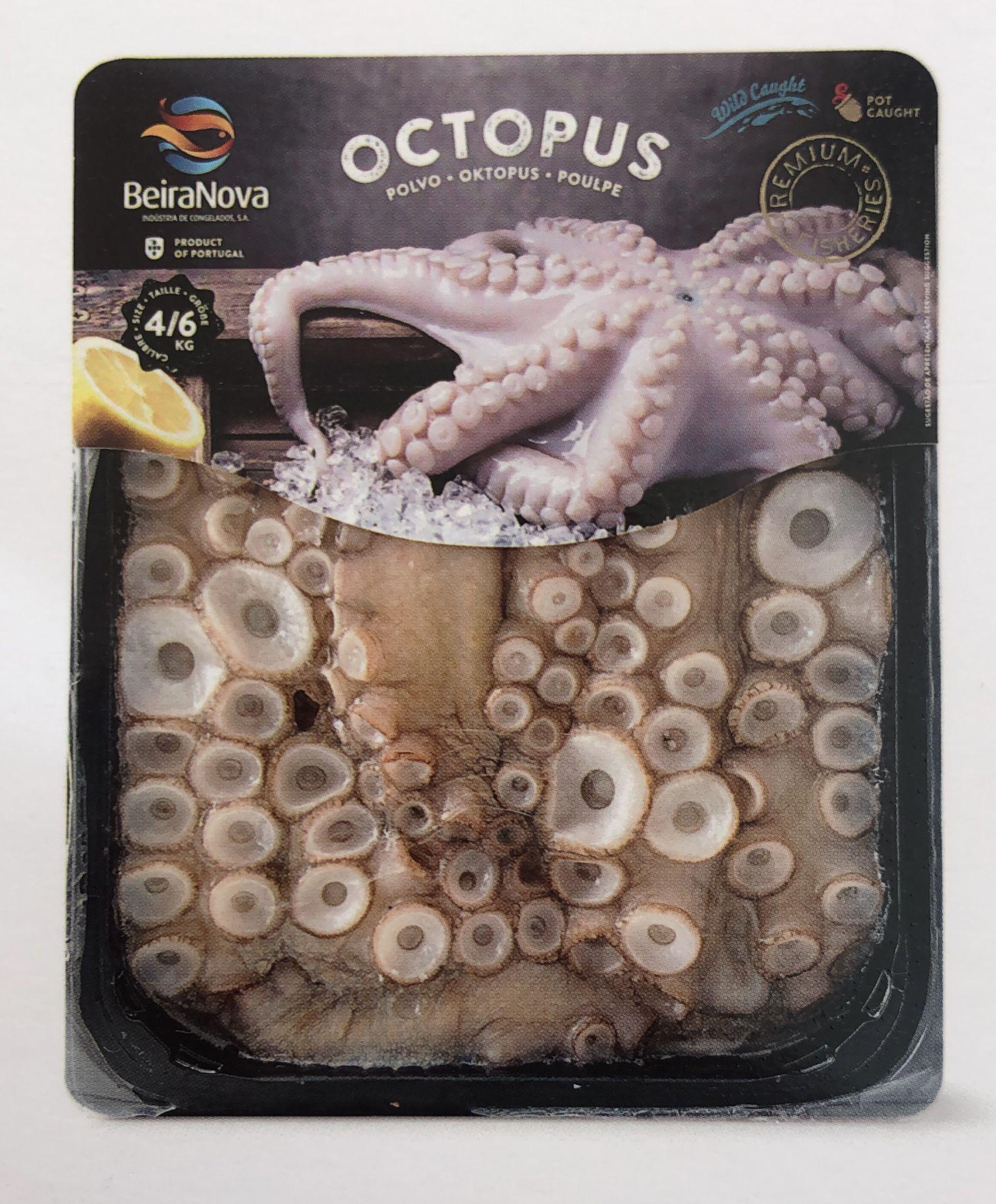 Frozen Octopus