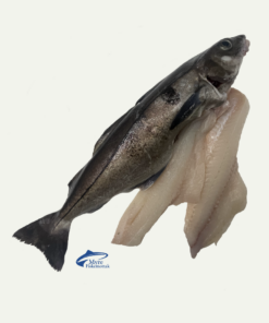Halibut