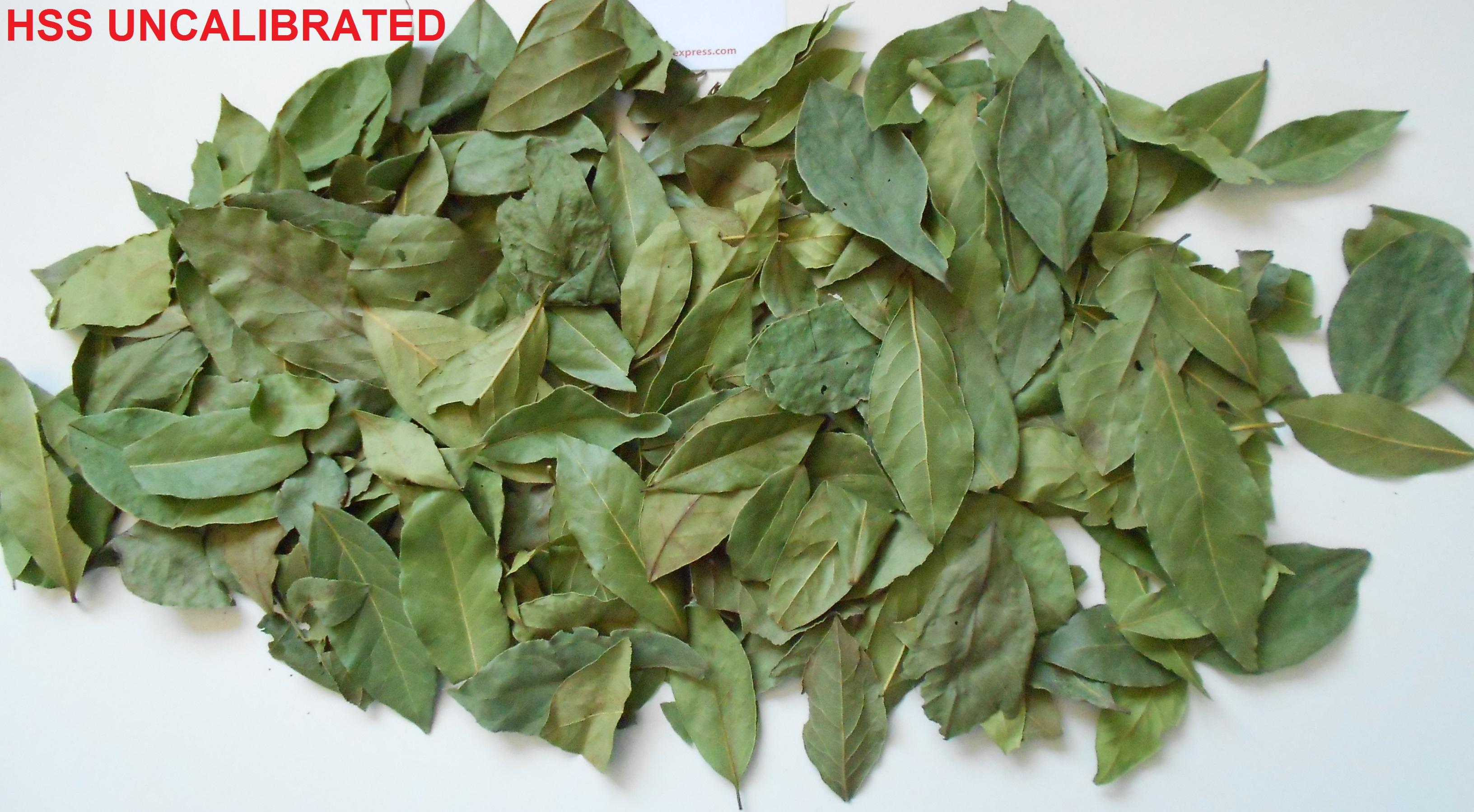 Dried Bay Leaves