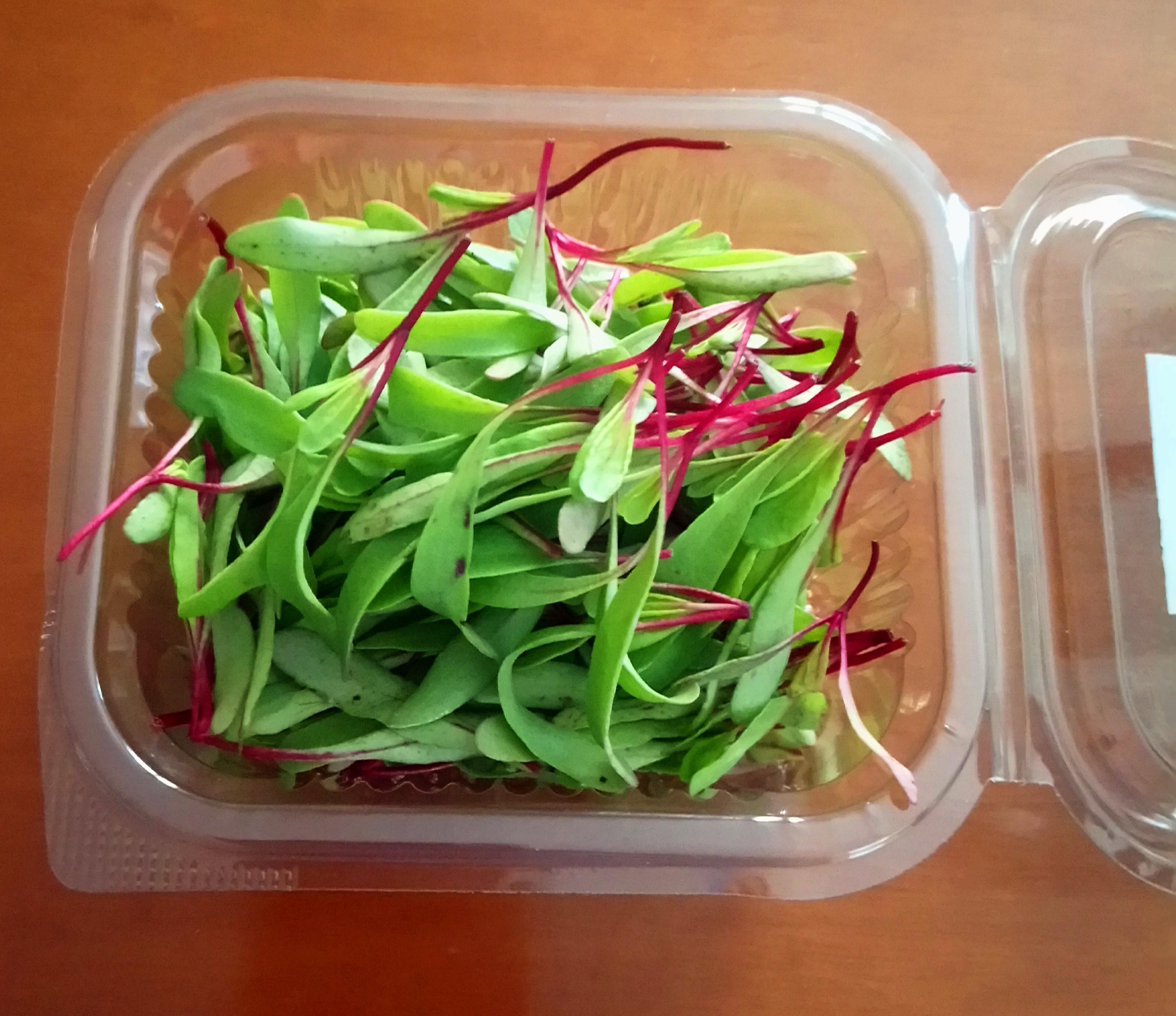 BIO ORGANIC MICROGREENS