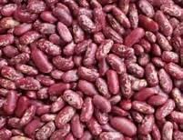 Red Kidney Beans