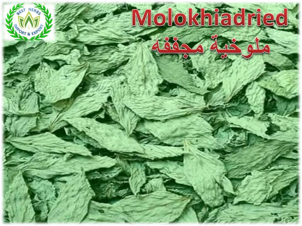 Meloukia Dried leaves Production Season 2019 Egyptian Production First Class