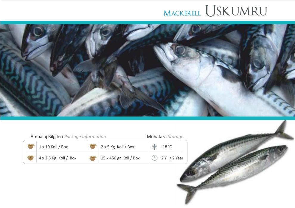 Frozen Mackerel