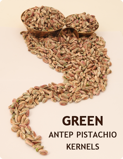ROASTED & SALTED PISTACHIO İN SHELL