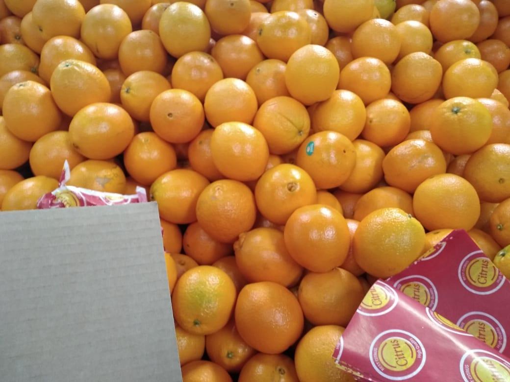 oranges