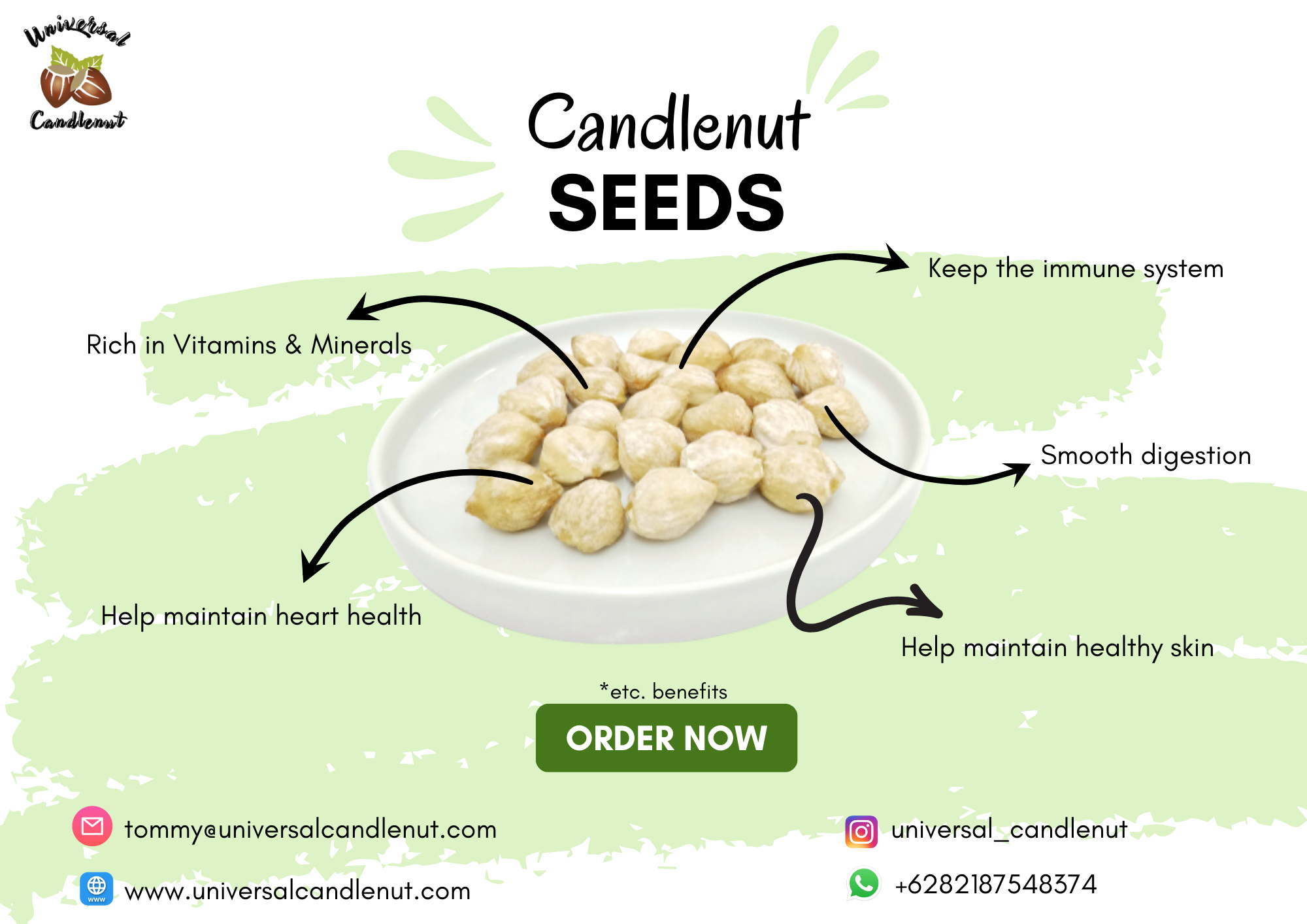 Candlenut