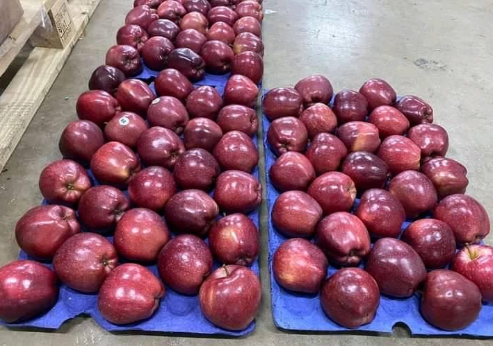 Fresh Yahyalı Apple