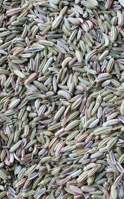 Fennel Seed