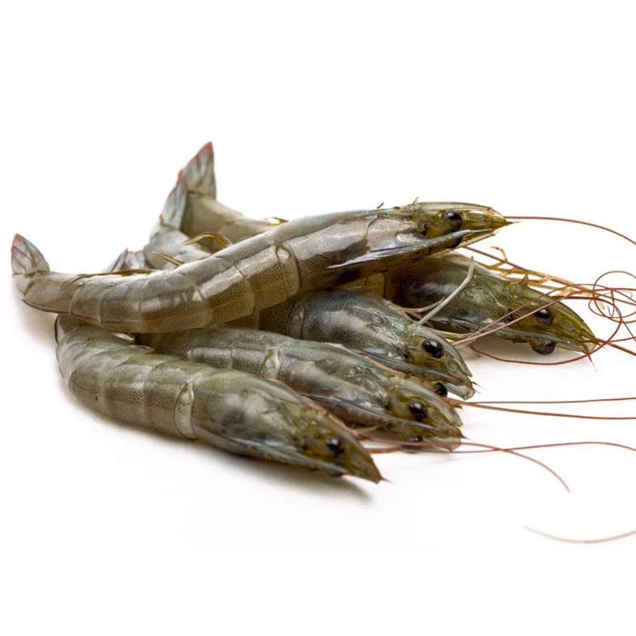 Vannamei Shrimp