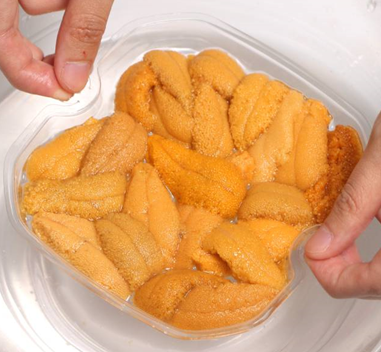 Sea Urchin(Uni)