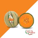 Melon