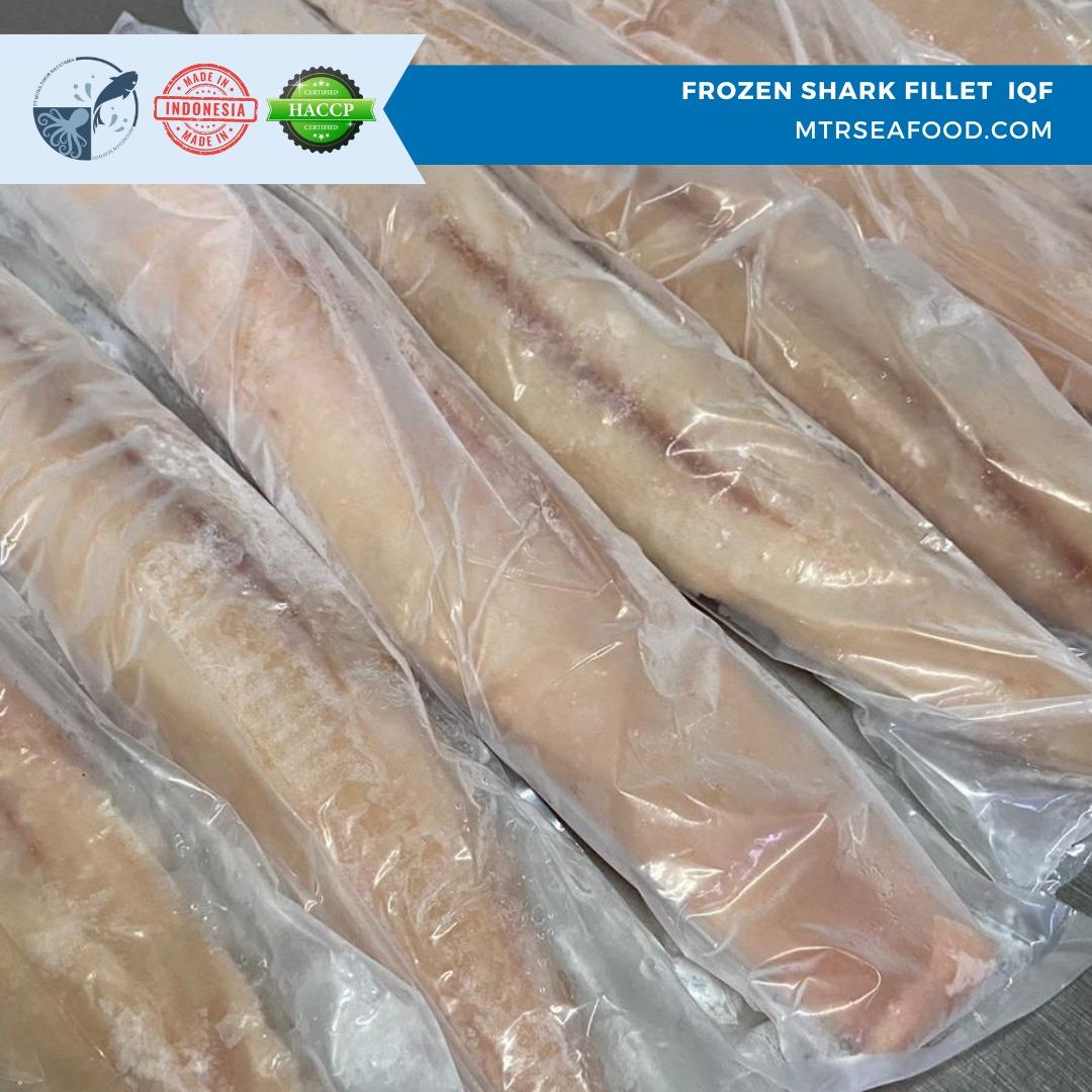 FROZEN SHARK FILLET