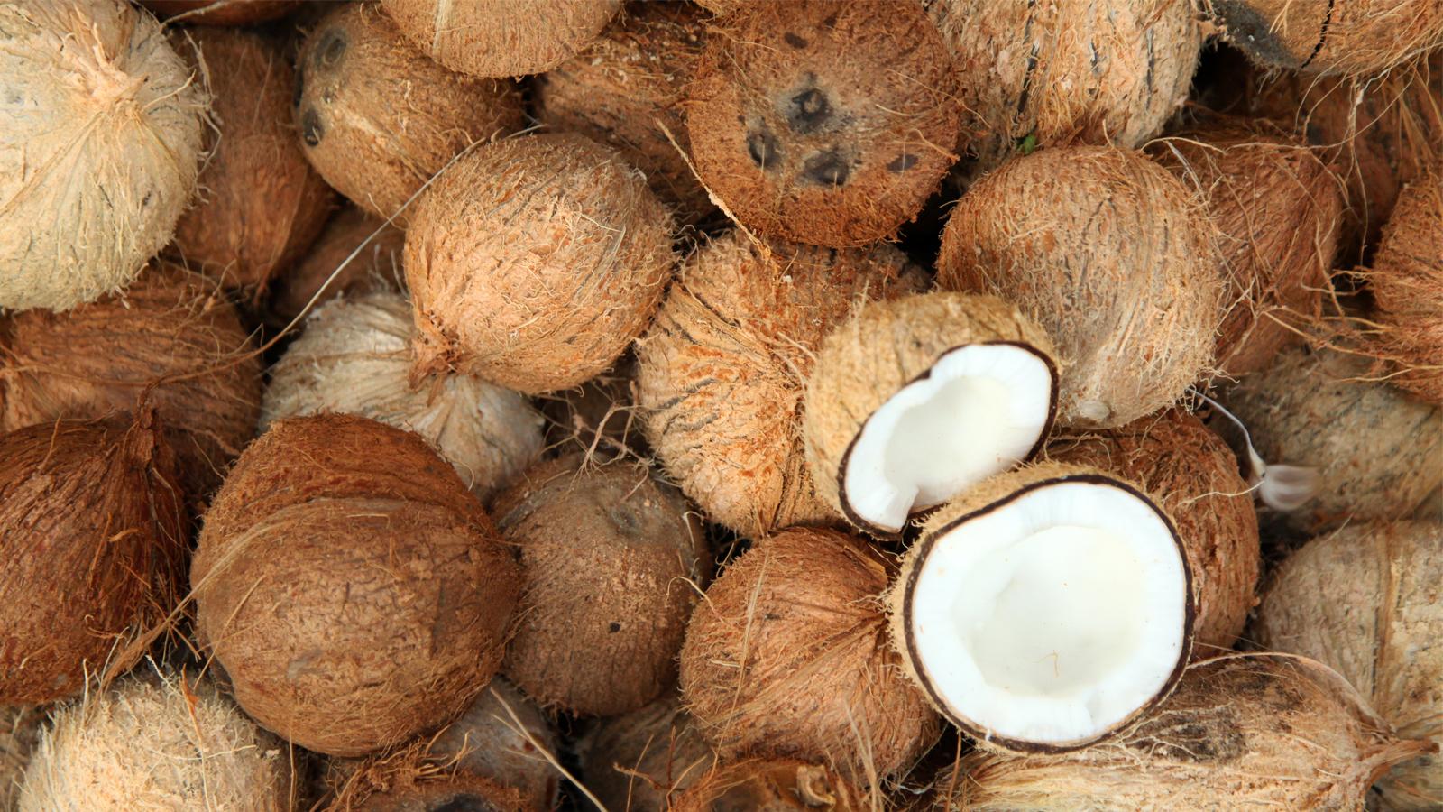 Fresh Dry Mature Coconut