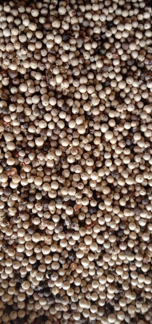 White Pepper
