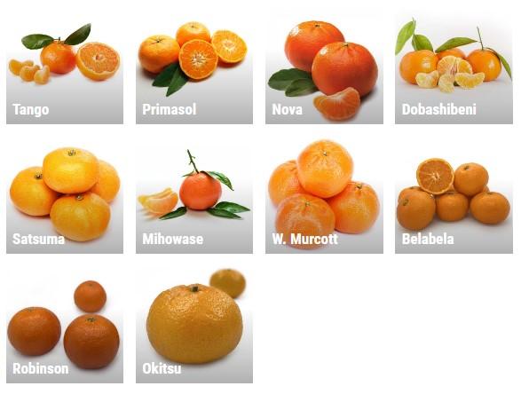 Mandarin
