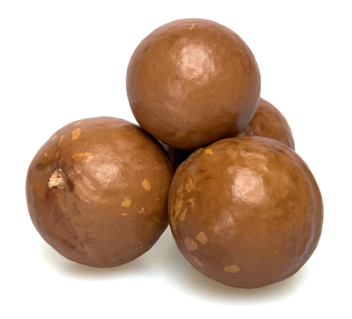 Premium In-shell Macadamia