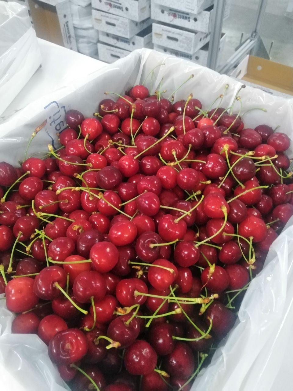 Fresh cherry