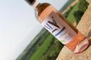 RED WINE - MERLOT AOC BORDEAUX 2022 BIO
