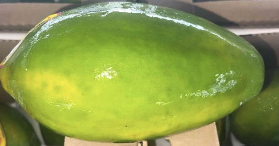 Papaya