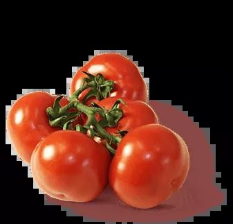 Tomatoes