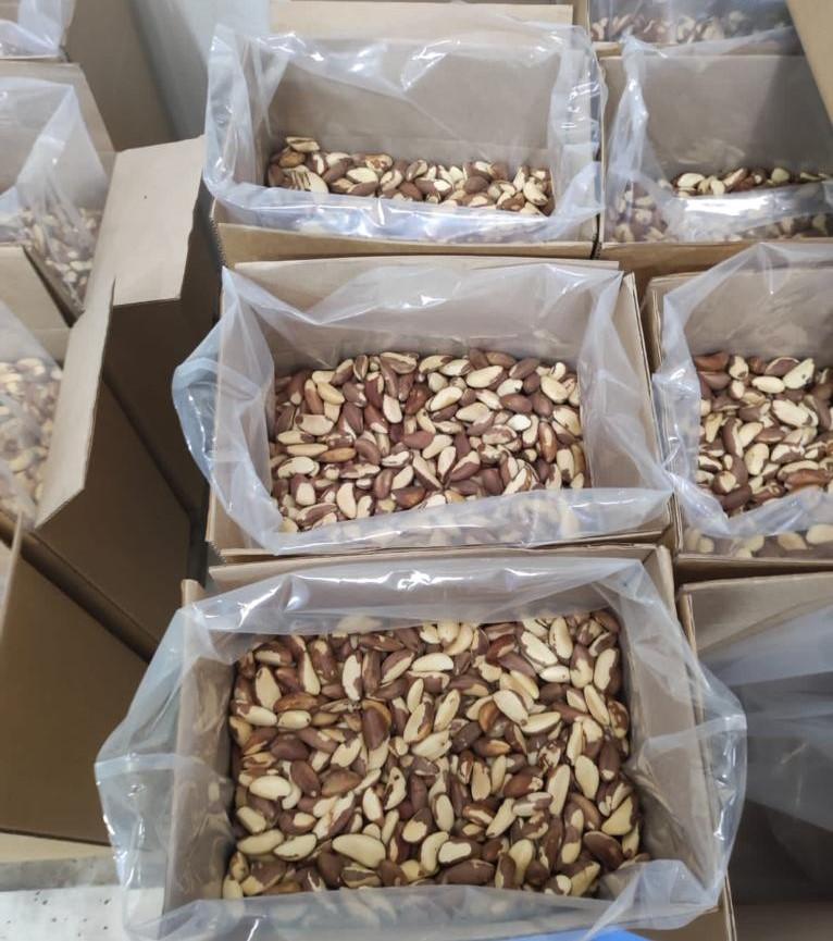 BRAZIL NUTS