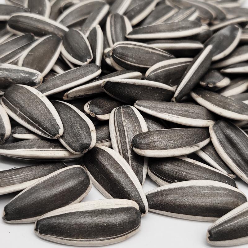sunflower seed of type 361/363/601