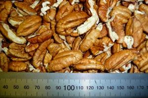 Pecan Kernel - Special Reserve Halves