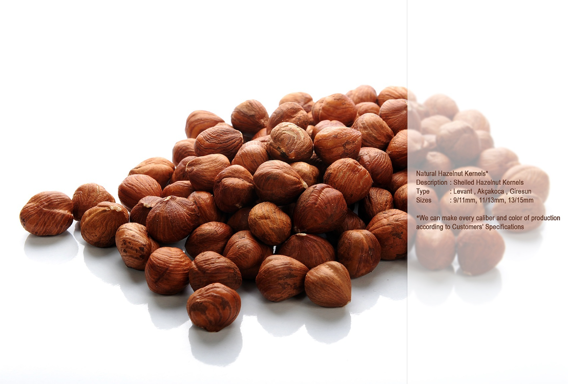 In Shell Hazelnuts