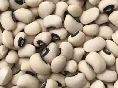 Soya Beans