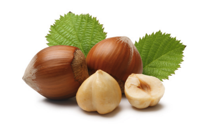 Organic and Conventional Turkish Hazelnuts