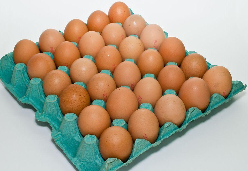 BIO ORGANIC EGGS