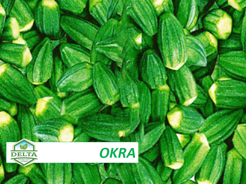 Okra