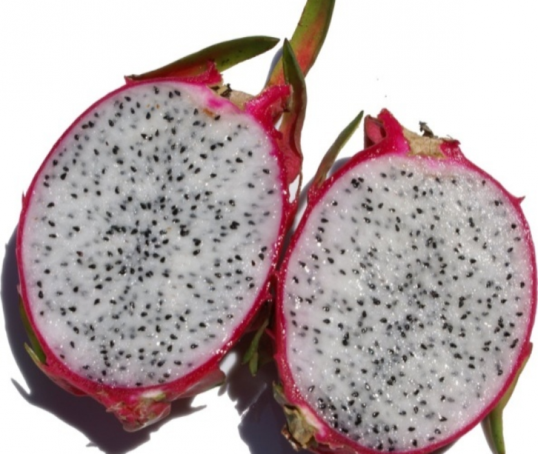 WHITE FLESH DRAGON FRUIT
