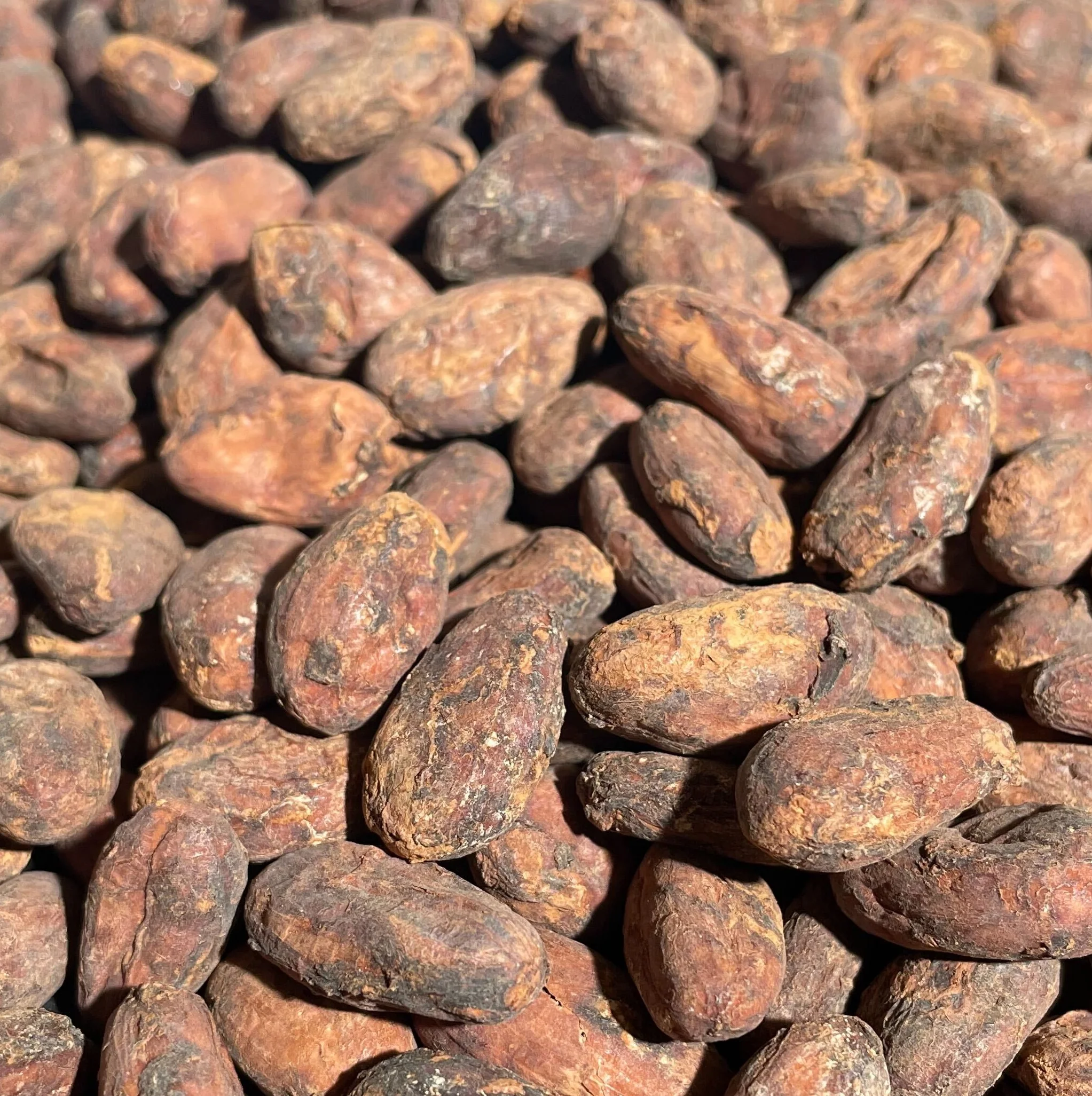 cocoa beans