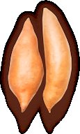 Sweet Potato